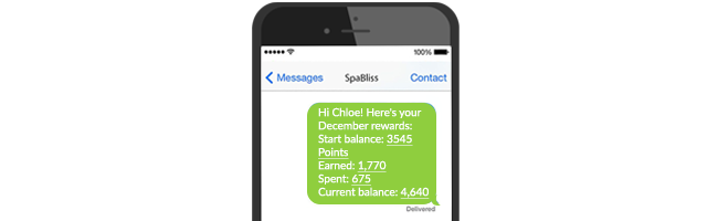 Loyalty Point Statements for Spas and Salons