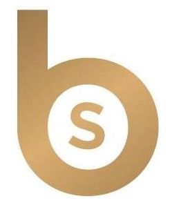 Blushes Hair and Beauty Logo